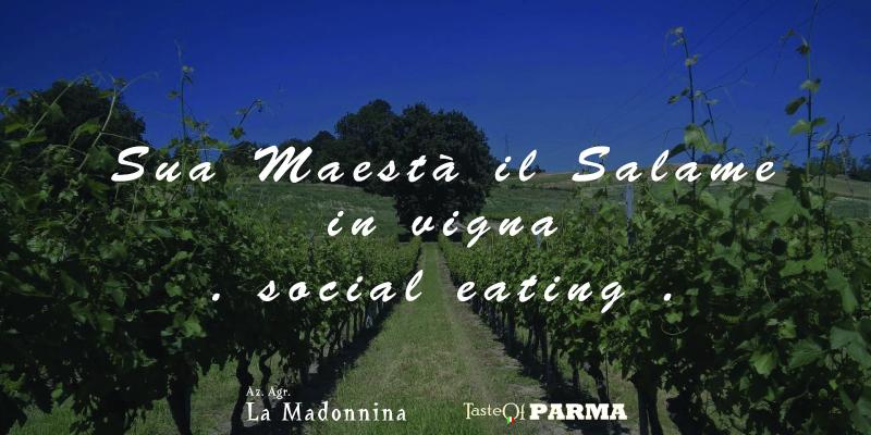 Cena tra vigna e agriturismo