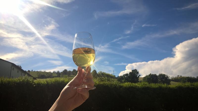 Gelati affogati nel vino a La Madonnina