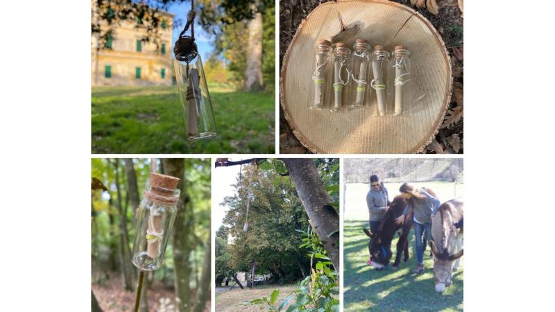 Il 15 maggio escursione con gli asini, nel Parco Naturale dei Boschi di Carrega (PR), per cercare misteriose ampolle