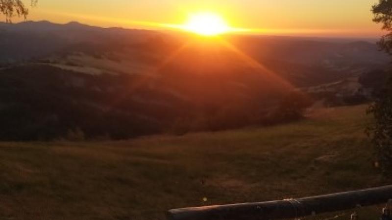Musica dall'alba al tramonto a Canossa&nbsp;