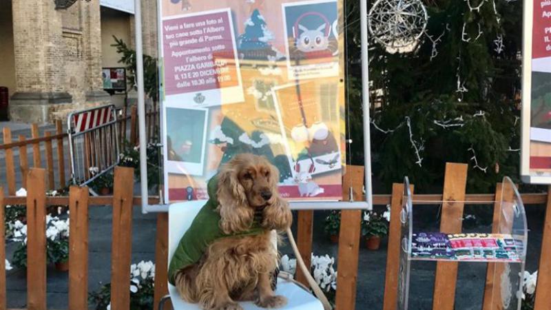 E' Natale A-Mici Cani V edizione