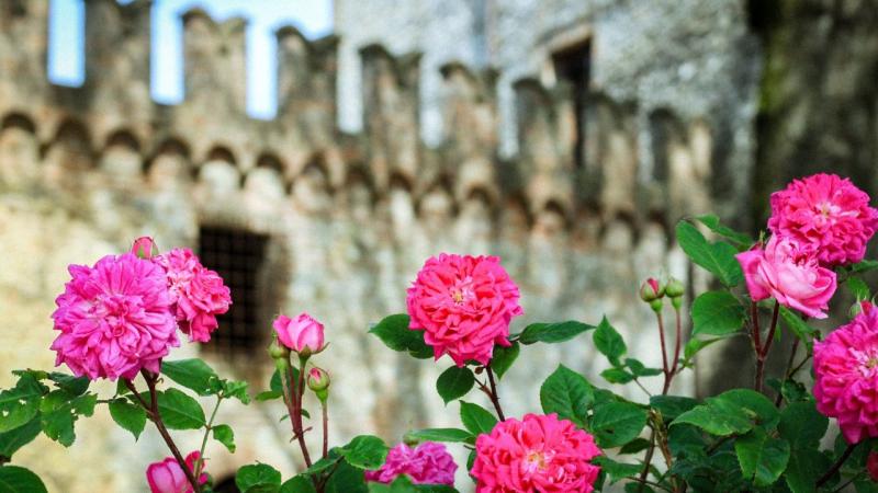 Visita guidata e aperitivo al Castello di Tabiano 
