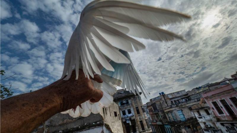 Una mostra su Cuba: le foto di Ermanno Foroni all'Ottagono di Bibbiano 