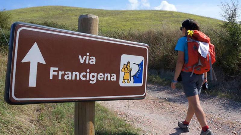 Da Fornovo a Felegara, «Cammina insieme con… noi»