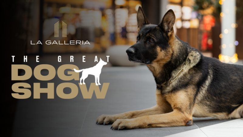 The Great Dog Show