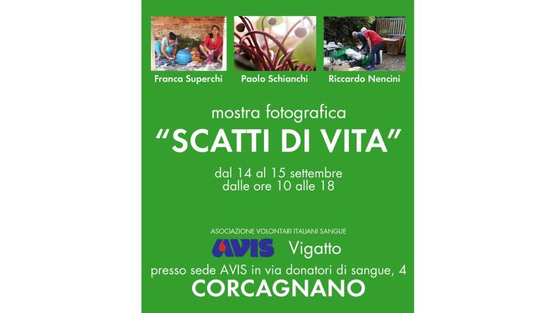 Mostra Avis