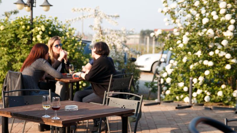 Weekend di Pasqua: Ciacco all'agriturismo La Madonnina