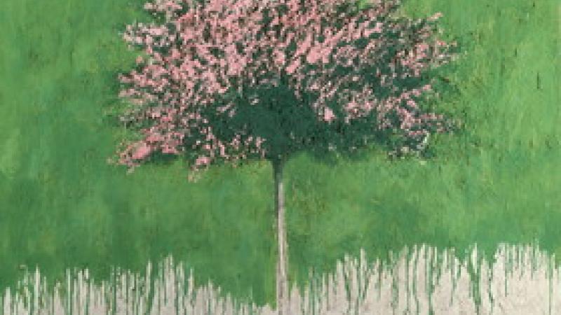 Mattioli, trent'anni di colore