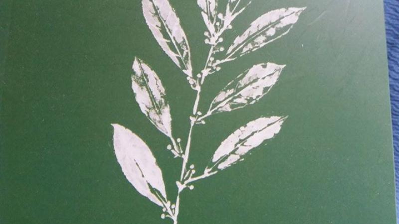 Presentazione dell'antologia "Voci di oggi"