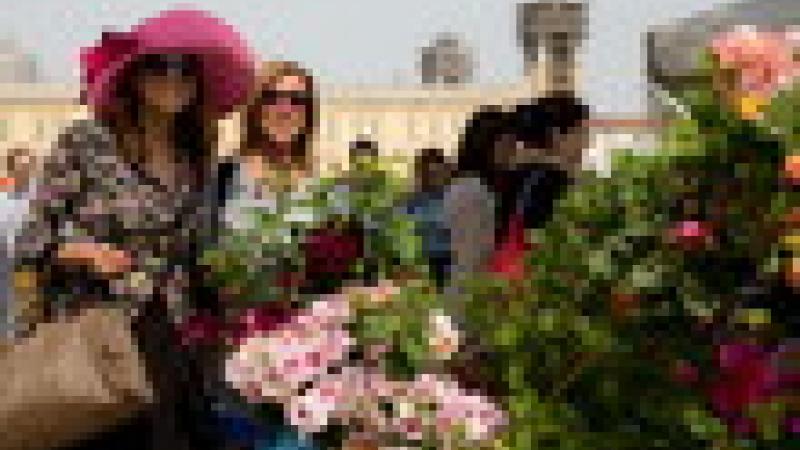 Alla Reggia di Colorno torna “Nel segno del giglio”: fiori, animali e... bio