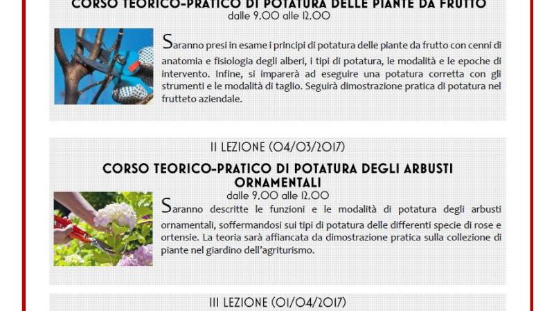 Lezioni di giardinaggio: segreti per avere un giardino perfetto!