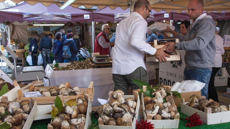Da re Porcino a Ortocolto, passando per il gran giorno del Palio: l'agenda di oggi