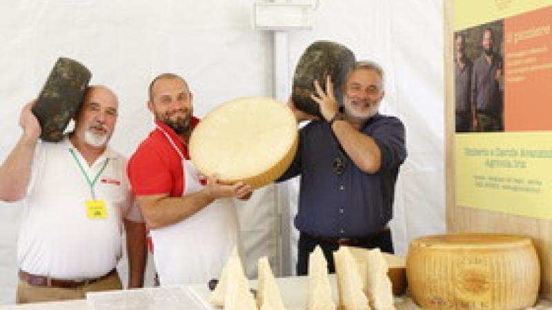 Alla scoperta del formaggio “Pioniere”