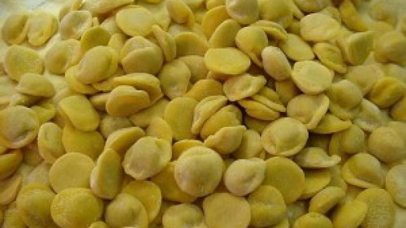 Mangiatori di anolini in gara