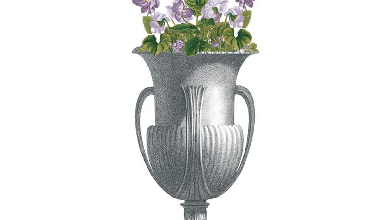Visite guidate Il posto delle Viole