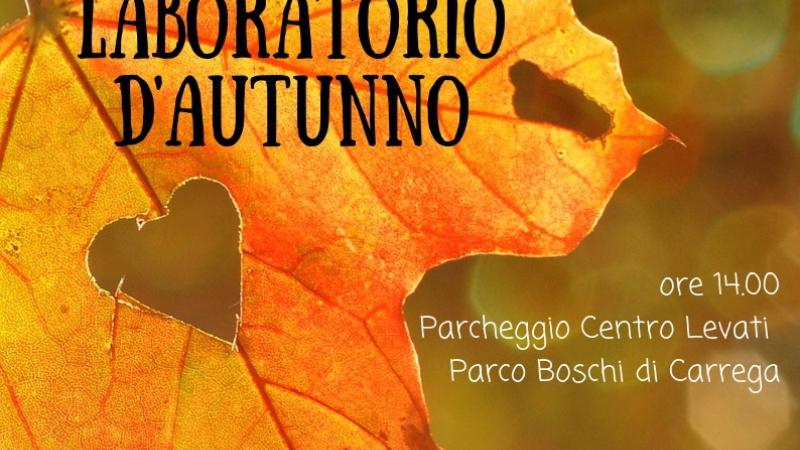 Boschi di Carrega: laboratorio d'Autunno 