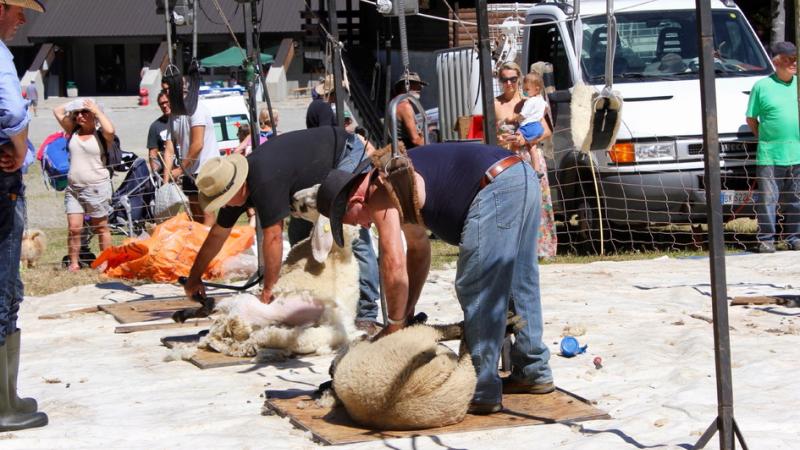 Appenninfest, montagna in festa fra cultura, arte  e solidarietà