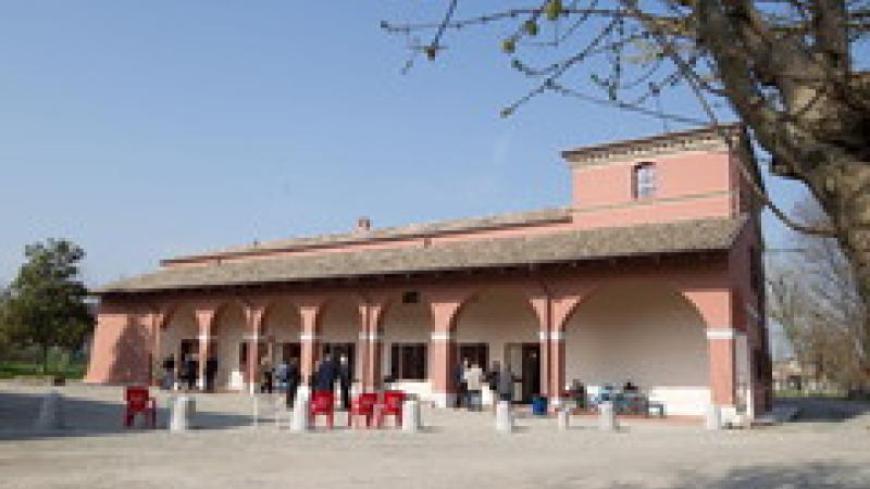 Cosmo e A Safe Shelter