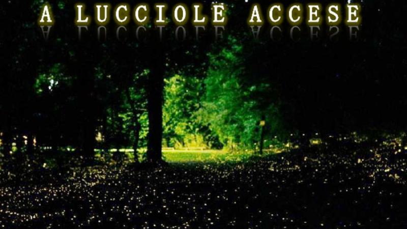 A lucciole accese 