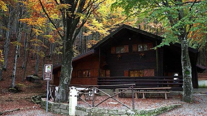 «Chalet Molinatico» - Cucina casalinga semplice, onesta e generosa 