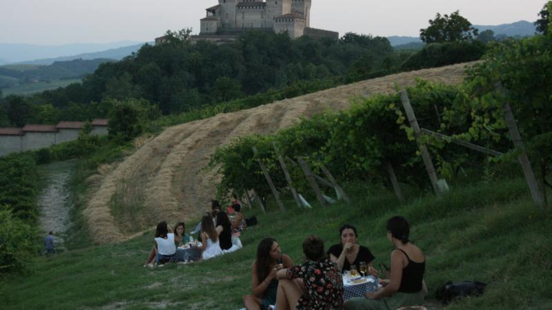 Picnic in vigna con prodotti tipici parmigiani