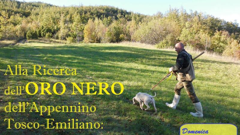 Alla Ricerca dell'Oro Nero: Il tartufo 