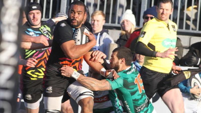 Zebre contro Agen oggi alle 15