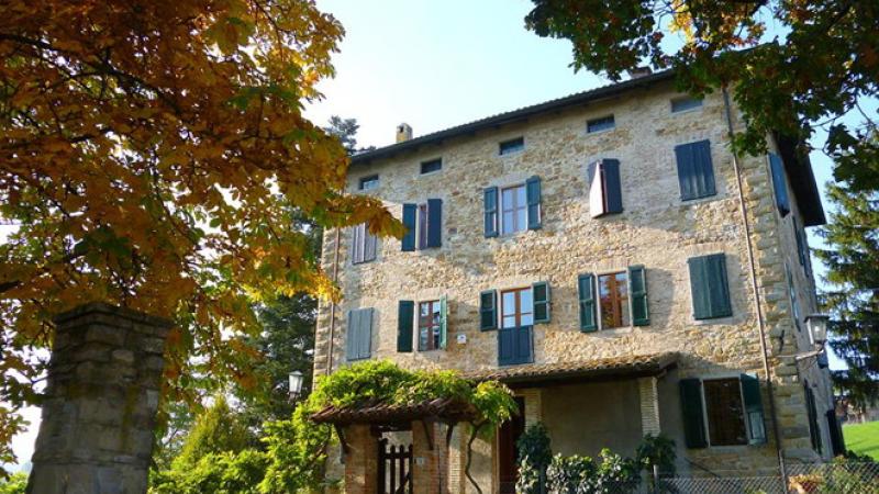 Il racconto  del castagno  a Casa Colibrì