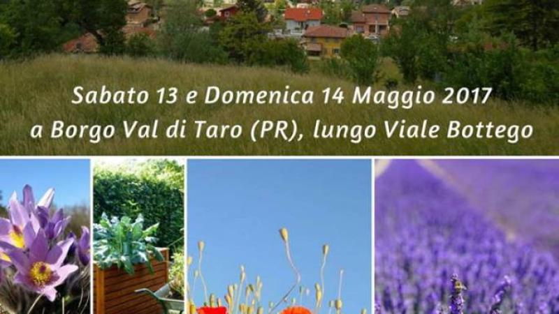 Borgo in fiore