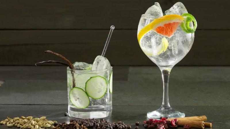 Degustazione Gin e toniche Fever Tree