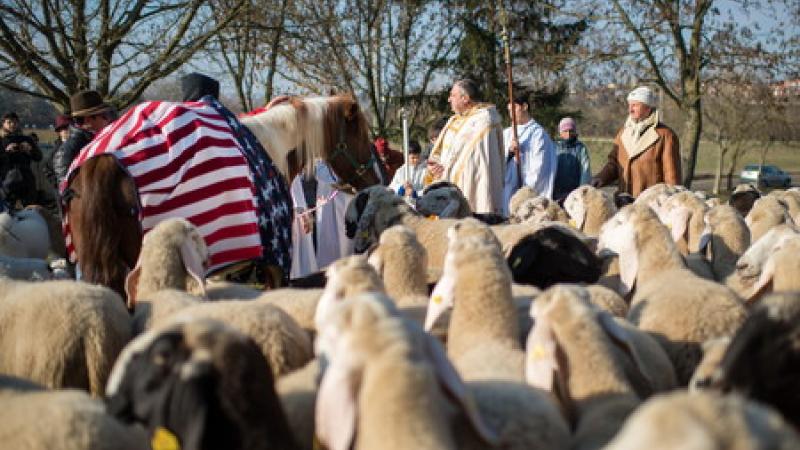 Bancarelle, musica e benedizioni degli animali: l'agenda della domenica