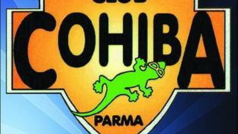Cohiba Spring Festival