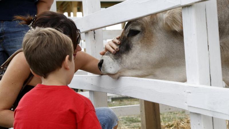 Rural Festival: la parola alla biodiversità