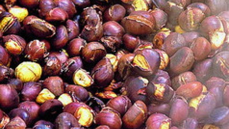 Castagne al top, caldarroste e pattona: festa a Folta 