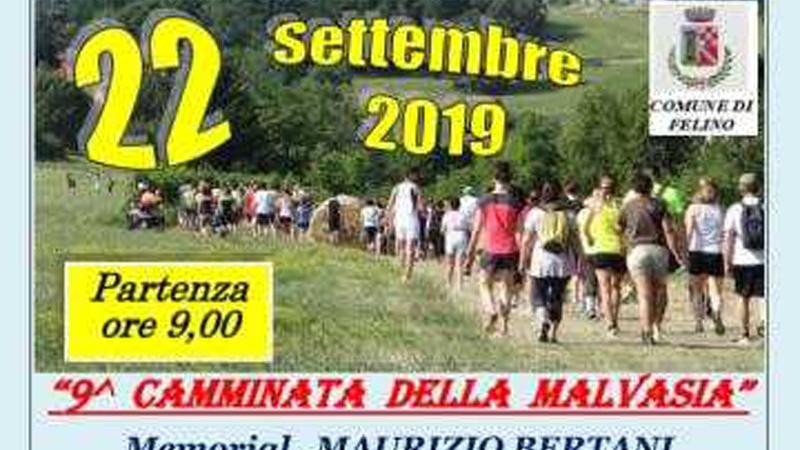 Camminata della Malvasia - Memorial Maurizio Bertani