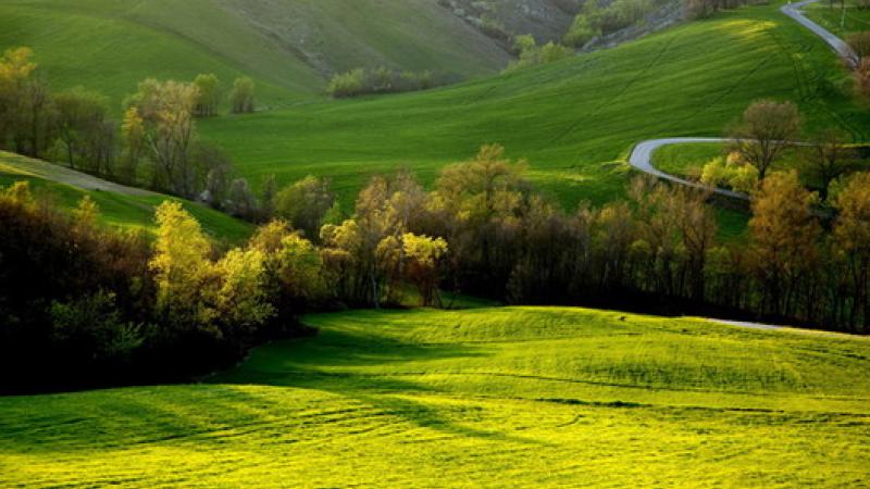 Trekking con gli asini romagnoli 