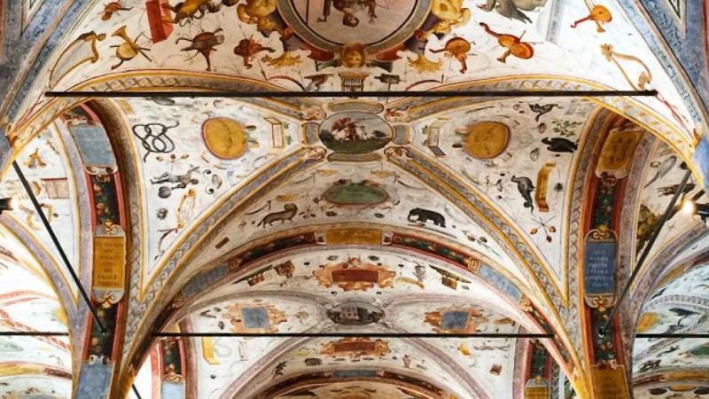 "Festina Lente": visita guidata alla biblioteca monumentale di San Giovanni Evangelista