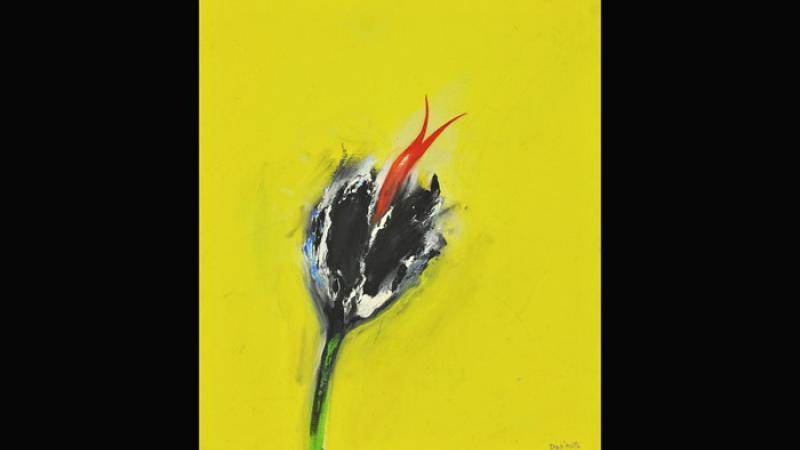  Fiori che pungono, graffiano e mordono:  il ritorno di Renzo Dall'Asta