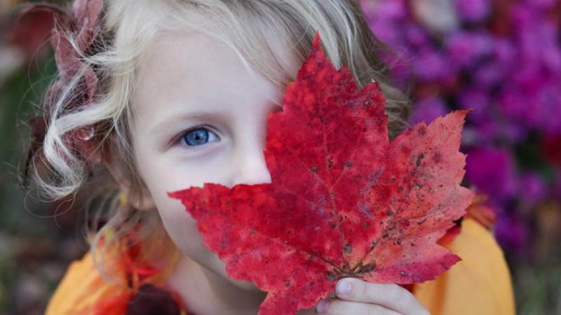 La Festa d'autunno delle Fattorie didattiche