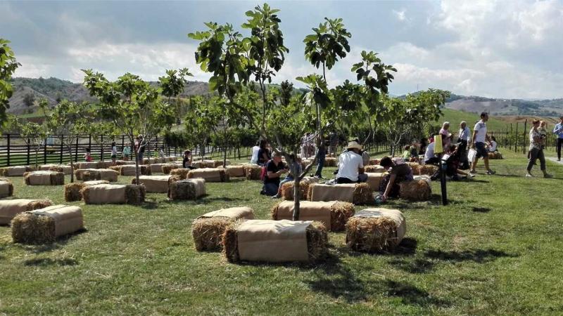 Torna il Rural Festival, dove la biodiversità agricola è di casa 