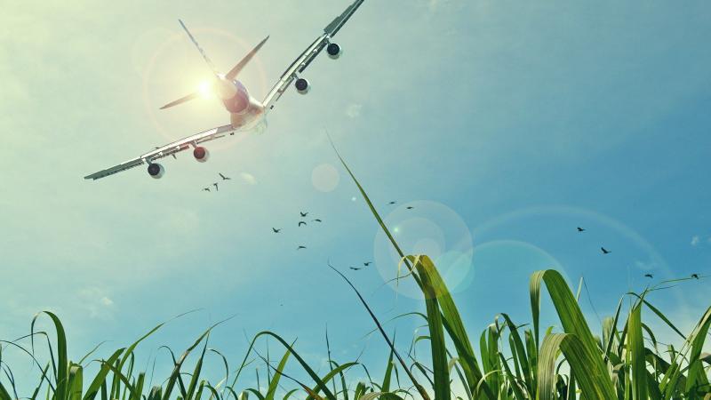 Si parla di "Paura di volare, in aereo e nella vita" al Laboratorio Famiglia al Portico