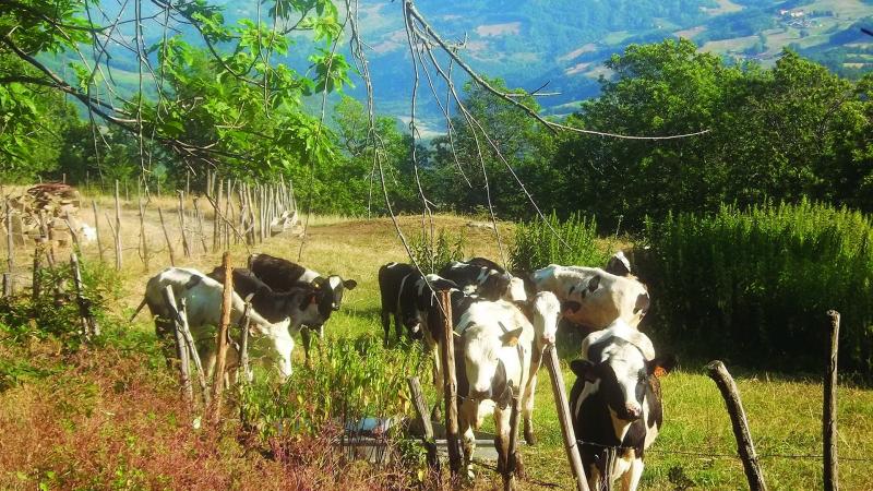 Un weekend di feste sul prato e trekking