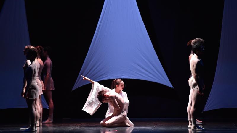 "Butterfly Ballet" nei Giardini della Reggia