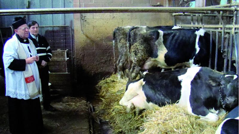 Animali, ciaspolate,  e... falò 