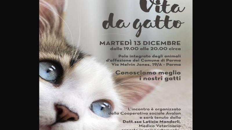 "Conosciamo meglio i nostri gatti": incontro con il veterinario