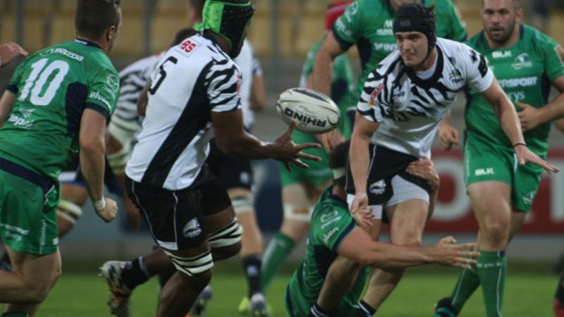 Zebre, tanta voglia di rivincita