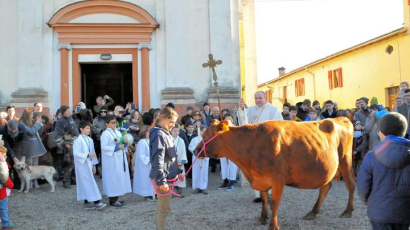 Sant'Antonio, benedetti gli animali
