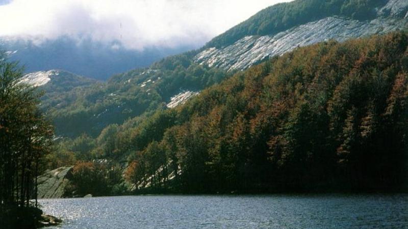Domenica 1 maggio apre la pesca ai Lagoni.