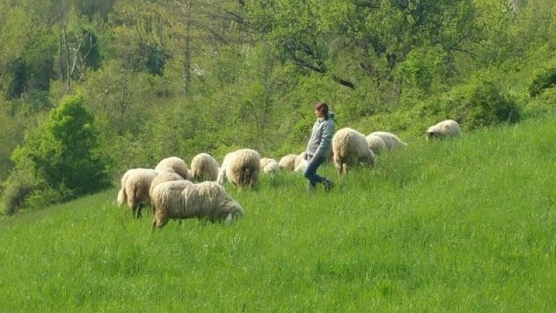 “Su per Terra”: in cammino tra pastore, cuoche e pecore