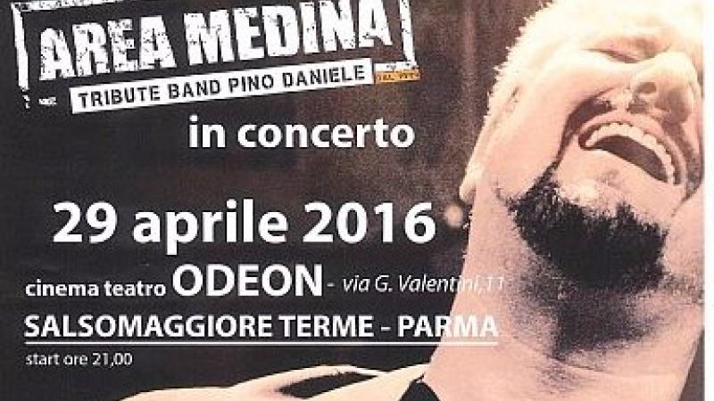 Concerto tributo a Pino Daniele